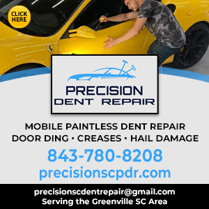 Precision Paintless Dent Repair